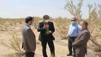 بازدید میدانی ریاست دانشگاه علوم پزشکی استان سمنان از مناطق عملیاتی سالک در روستاهای شهرستان دامغان