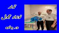 تولد نوزاد عجول در جاده