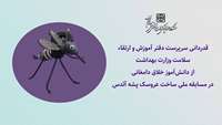 درخشش دانش‌آموز دامغانی در میدان خلاقیت؛ تقدیر وزارت بهداشت از آوا اشرفی برای ساخت عروسک پشه آئدس