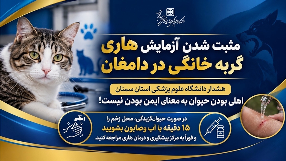 مثبت شدن آزمایش هاری یک گربه خانگی در دامغان؛ تأکید دانشگاه بر ضرورت پیشگیری فوری پس از حیوان‌گزیدگی